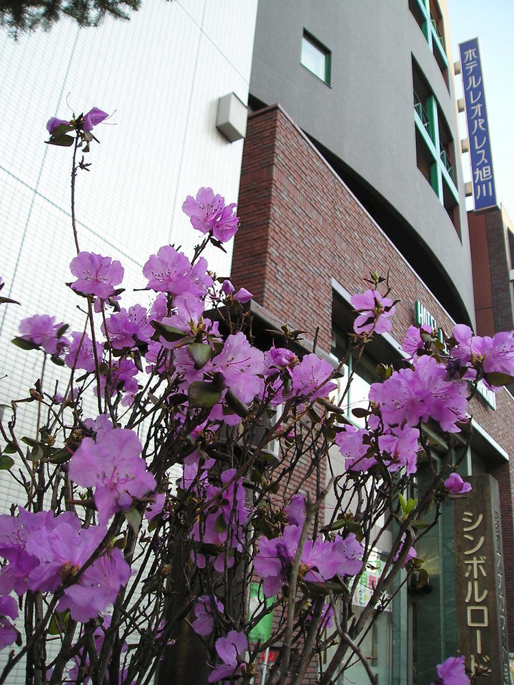 Hotel Kuretake Asahikawa